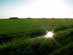 Hallig Hooge (Fotos: ctk)